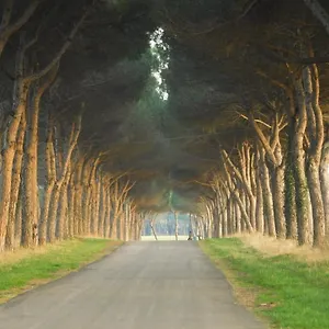 Pigreco Gasthof Coltano